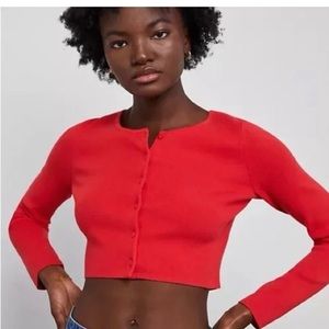 Aritiza Sunday Best Red Cropped Sweater